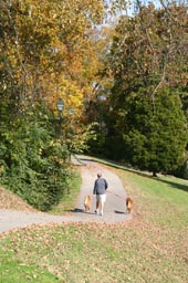 Lakeshore Park trail